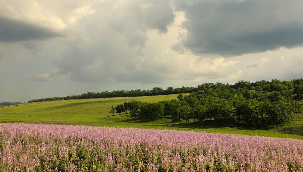 Photograph by Валерия Маркова