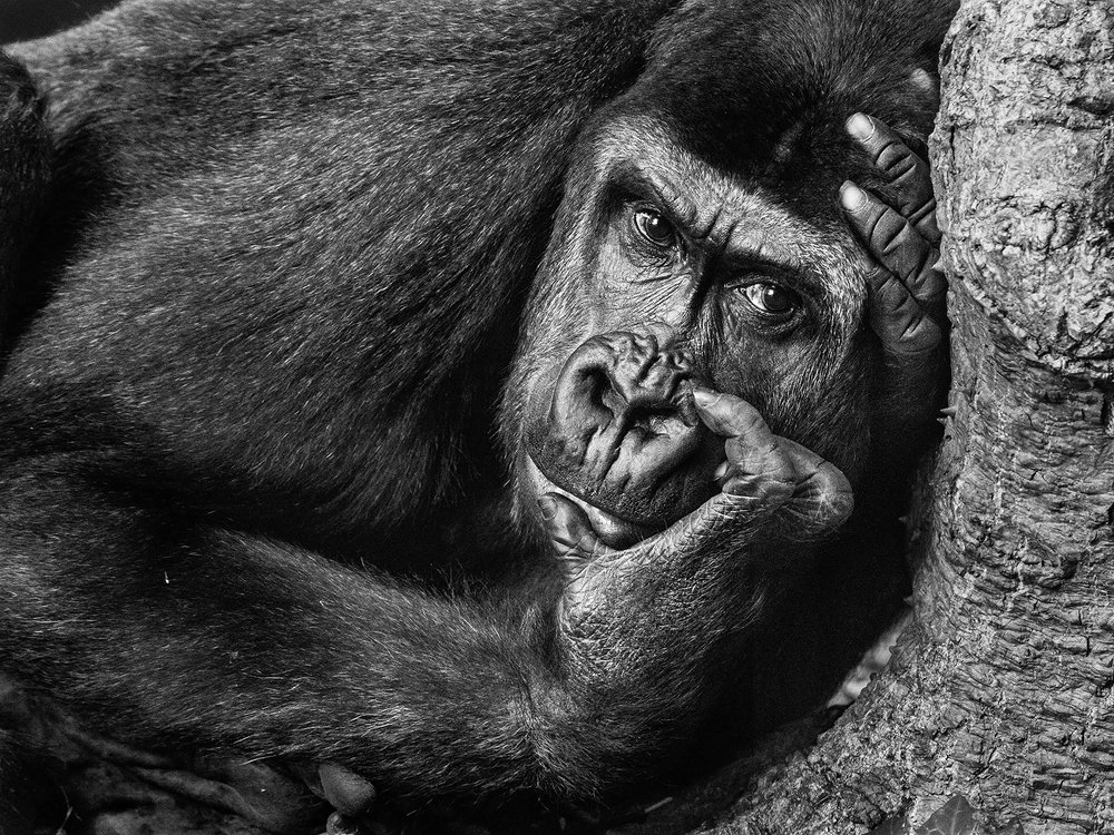 Photograph by Eduardo Di Fiore