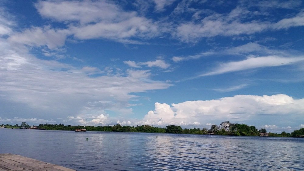 Photo #4695815