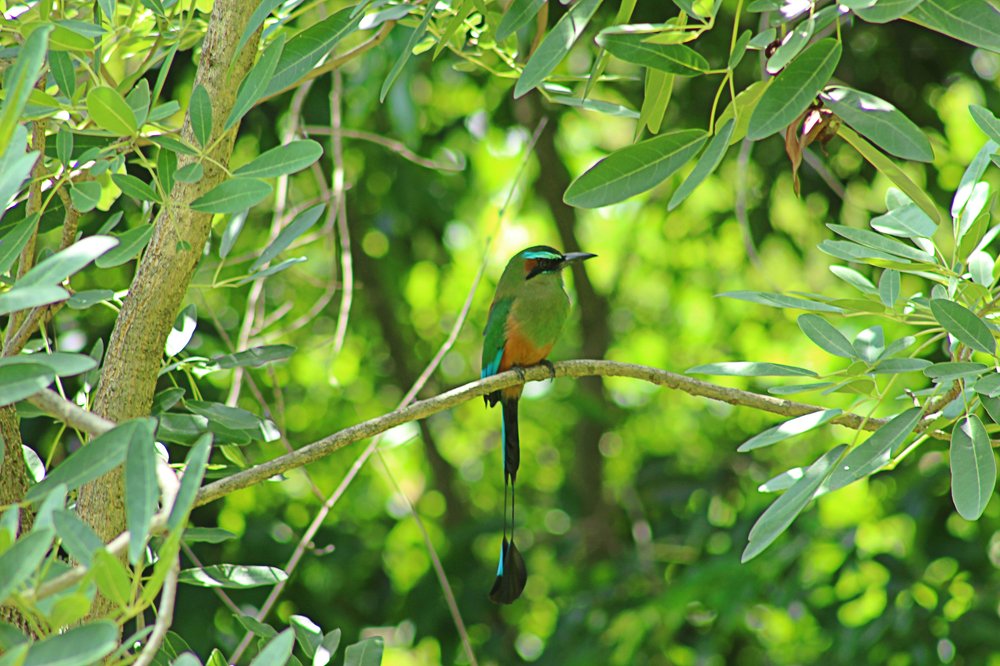 Photograph by Javier Fuentes