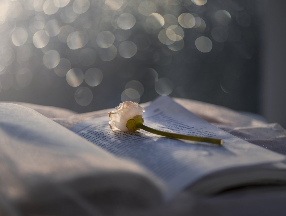 Photograph by Екатерина Гусева