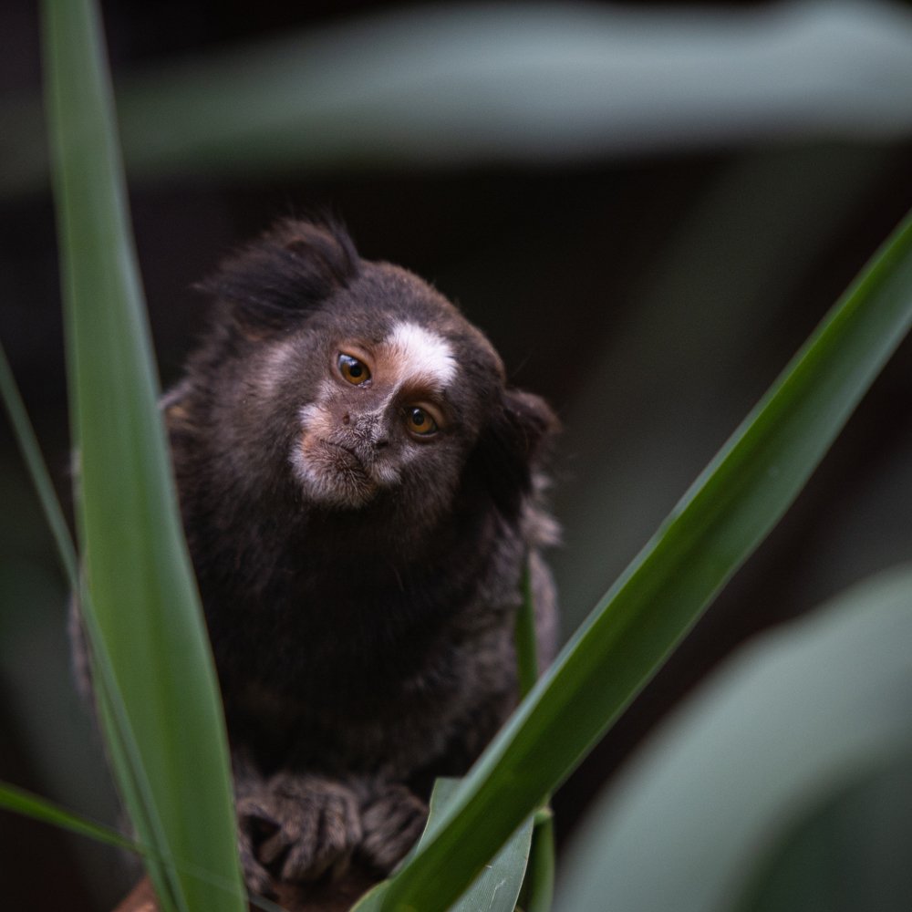 Фотография автора Андрей Барбиер