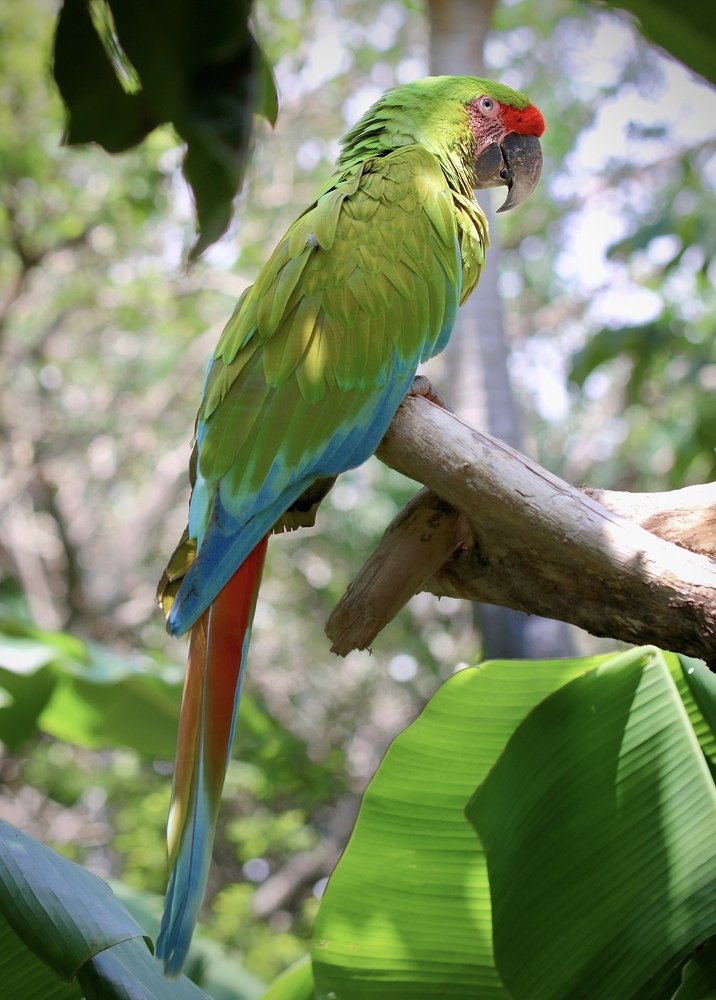 Photograph by Giovanni A Chaps