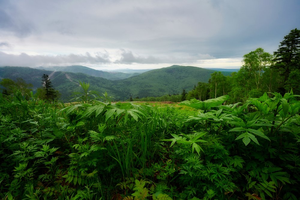 Photograph by Роман Ласун