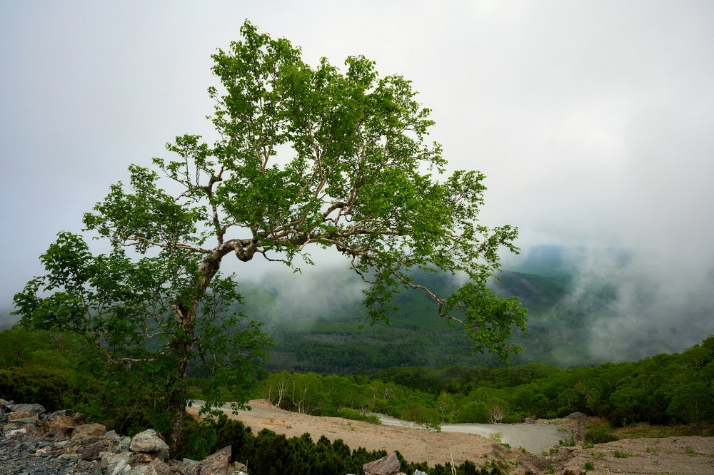 Photograph by Роман Ласун