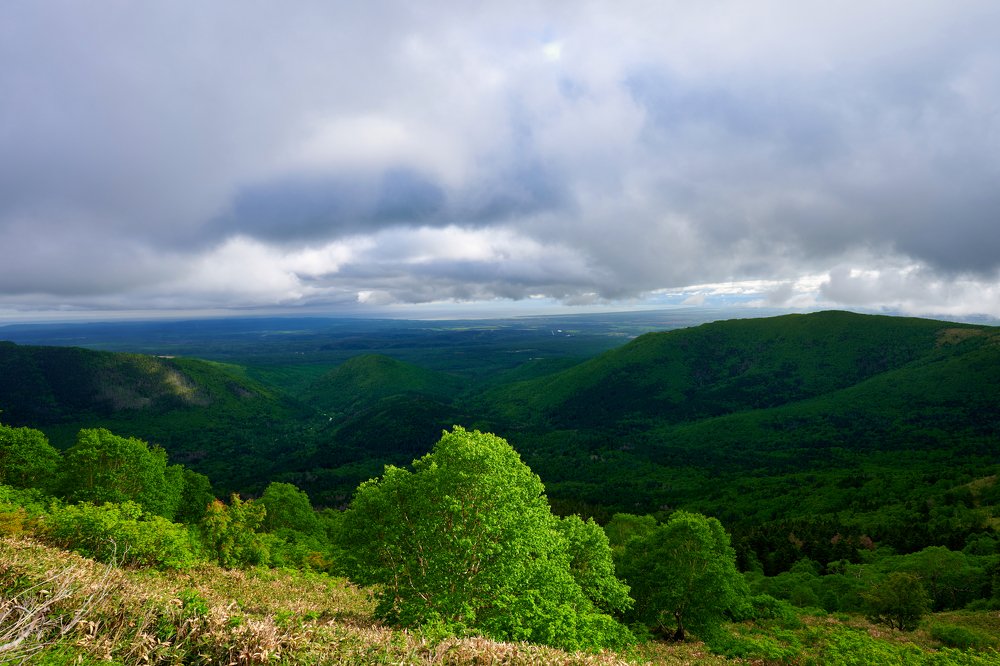 Photograph by Роман Ласун