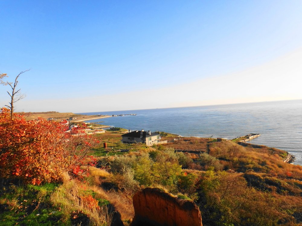 ЛЕСКИ_ОДЕССА