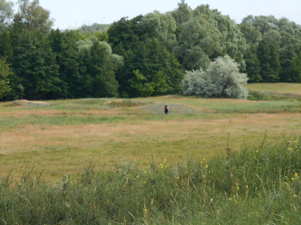 Photo #4696097