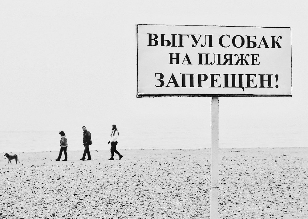 Photograph by Светлана Корнилова