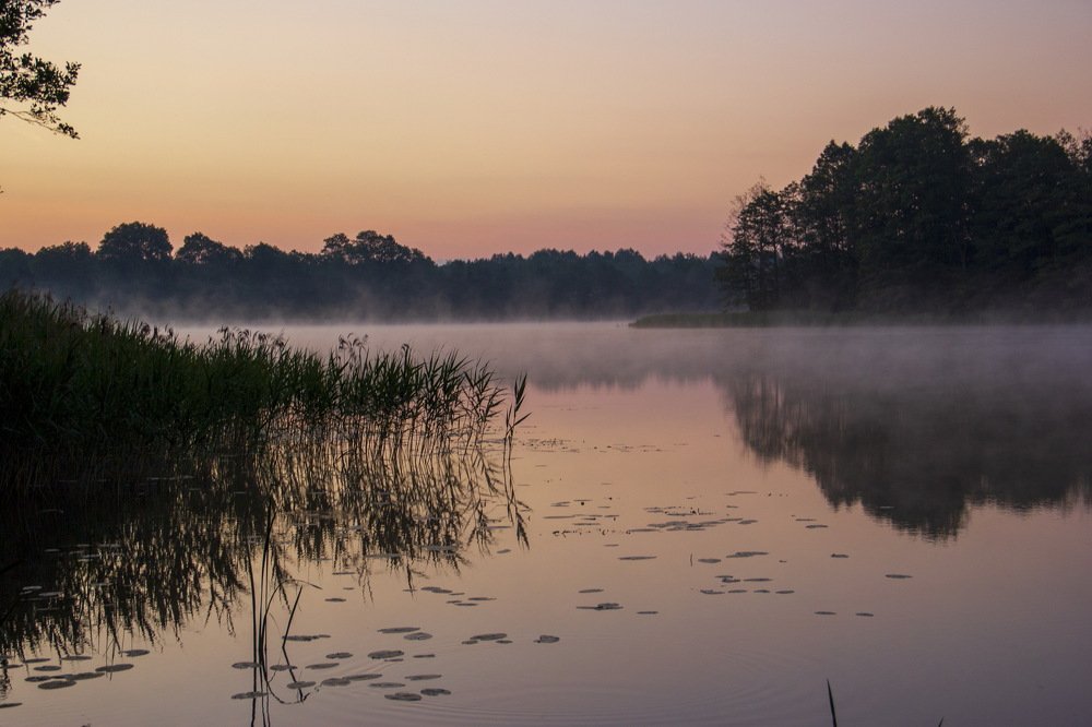 утро на озере
