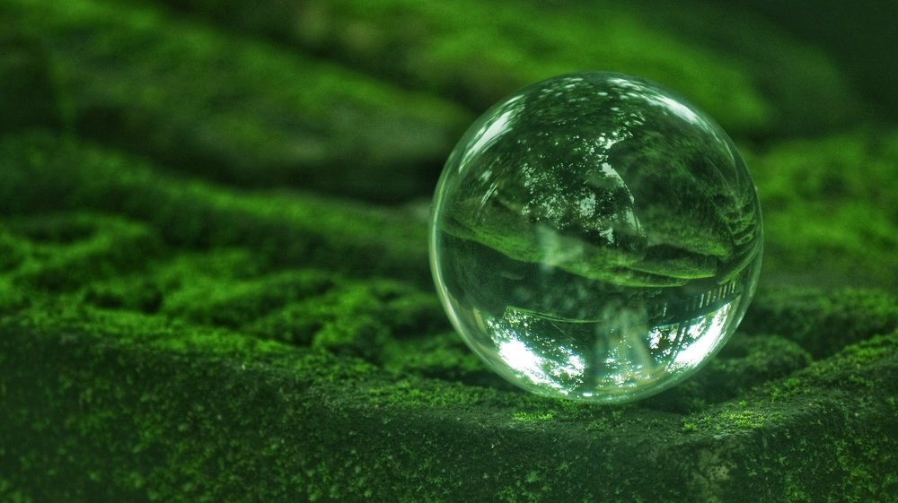 Photograph by Pratik Majumder