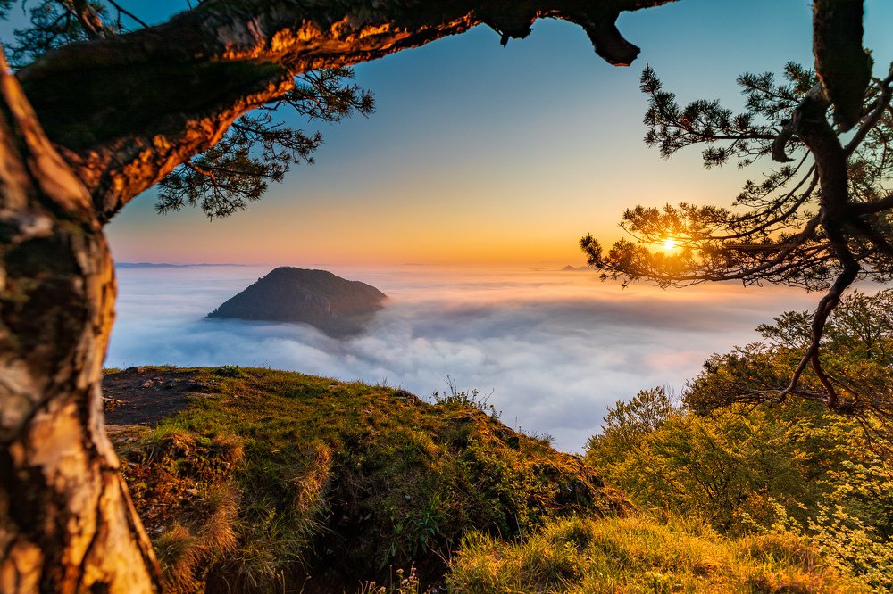 In the embrace of fog ...