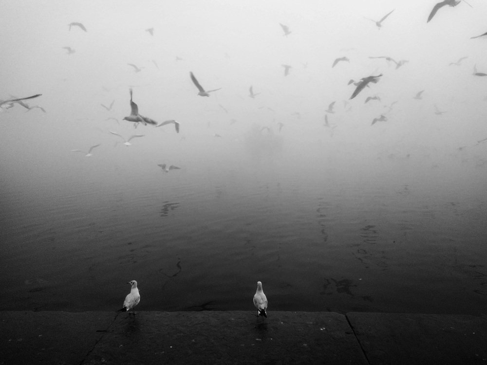 Photograph by Hirokjyoti Pathak