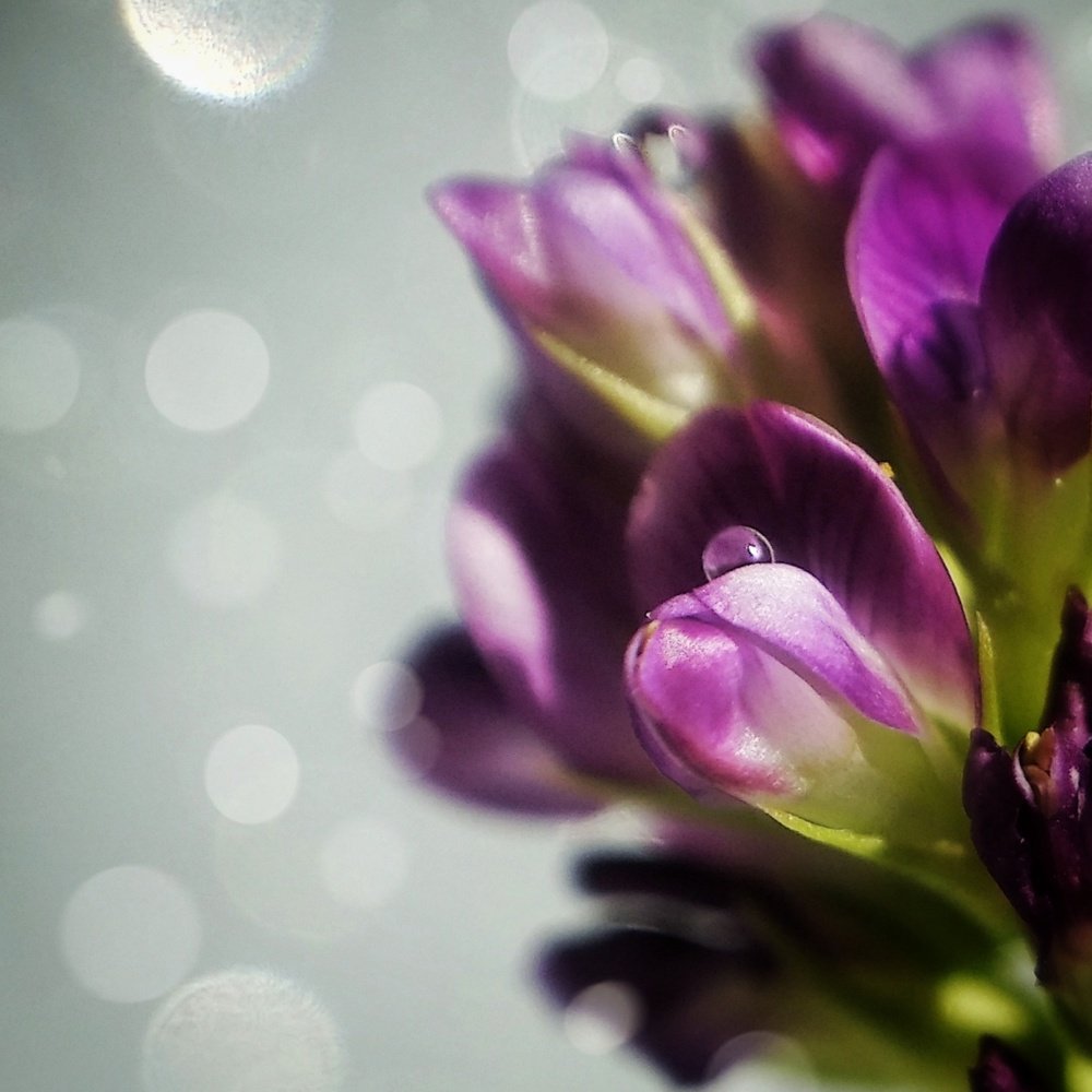 Photograph by Татьяна Чухина