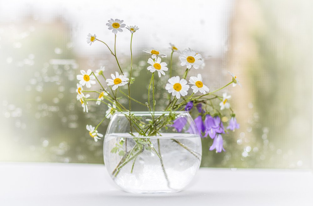 Photograph by Alex Kalpus