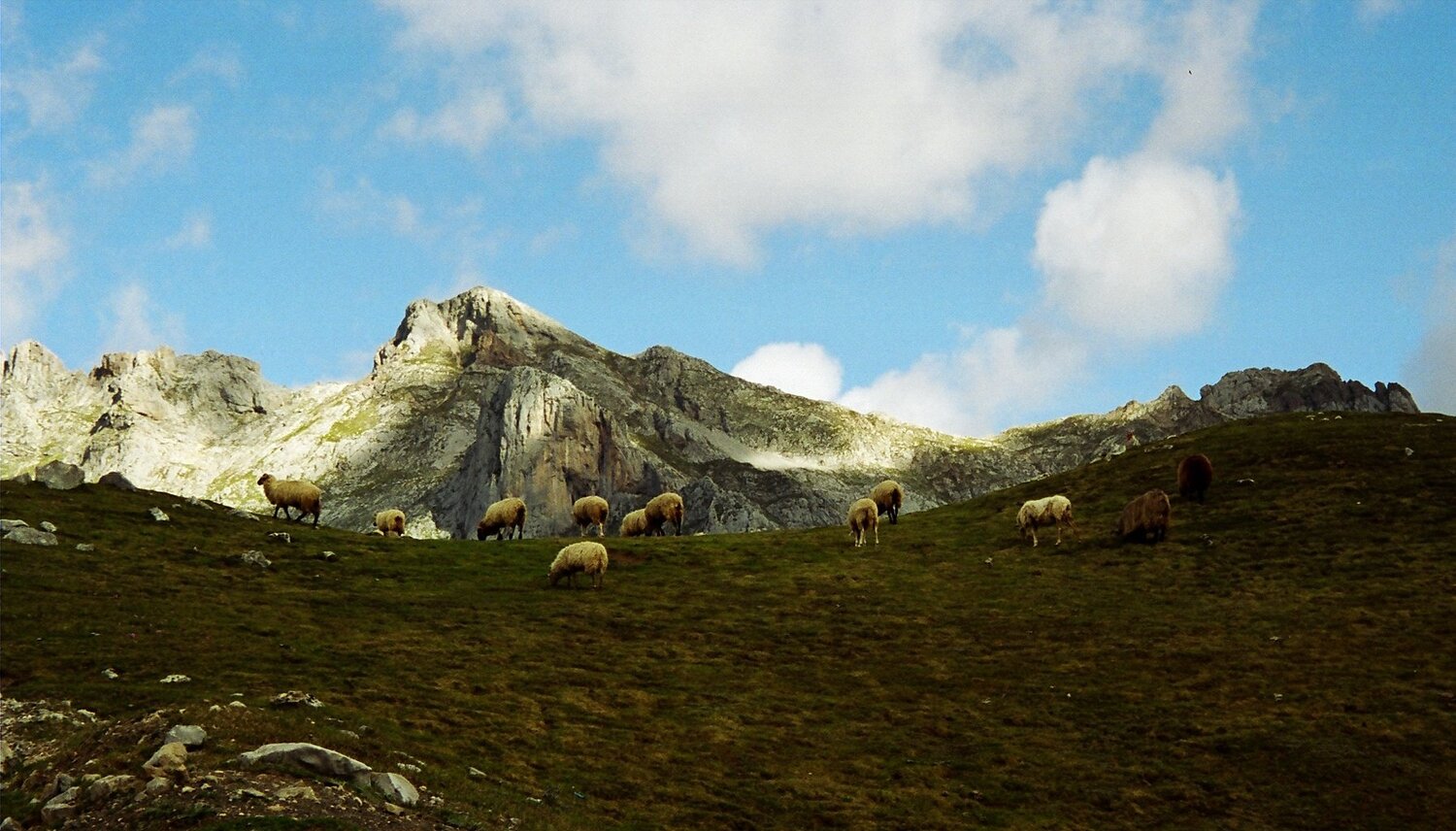 Picos de Europa