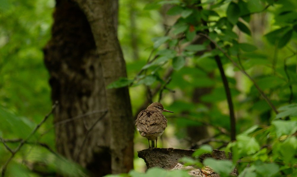 Photograph by Rustam Bekmansurov