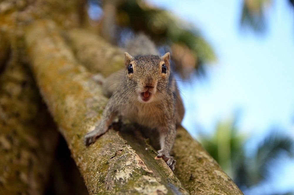 Фотография автора Валерия Сычёва