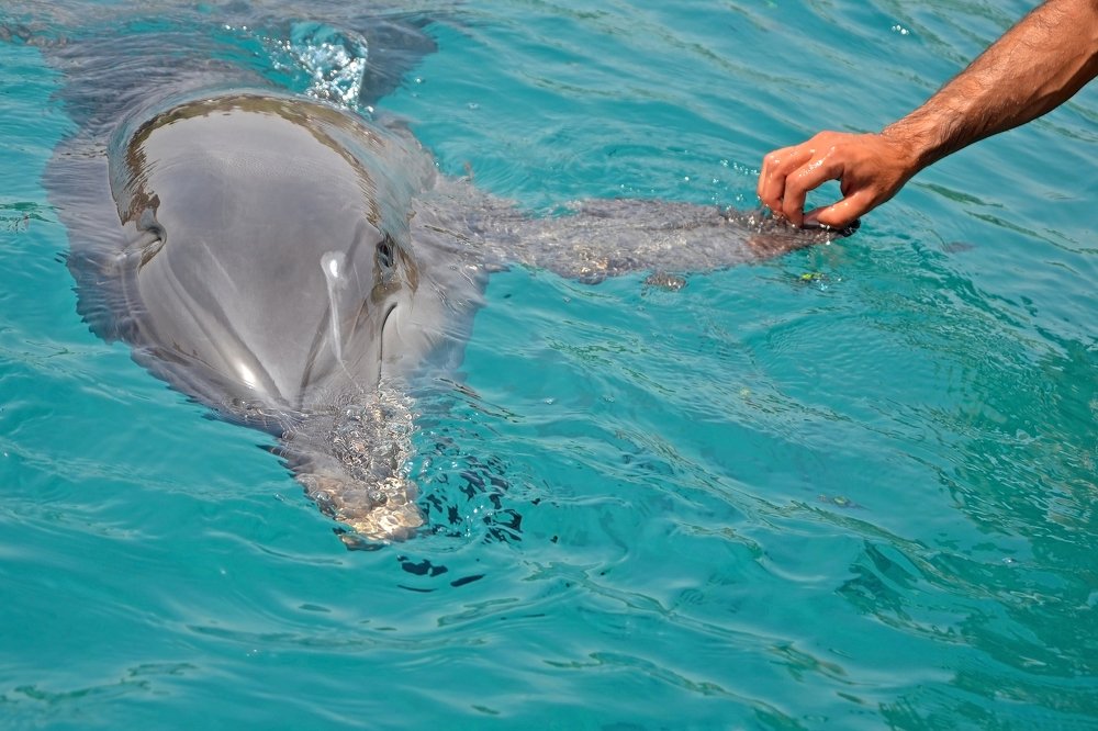 Фотография автора Валерия Сычёва