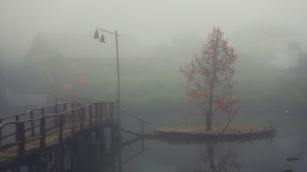 Photograph by Скворцов Аркадий