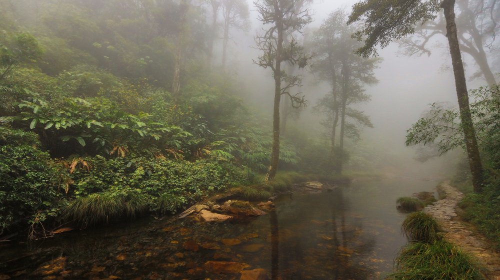 Photograph by Скворцов Аркадий