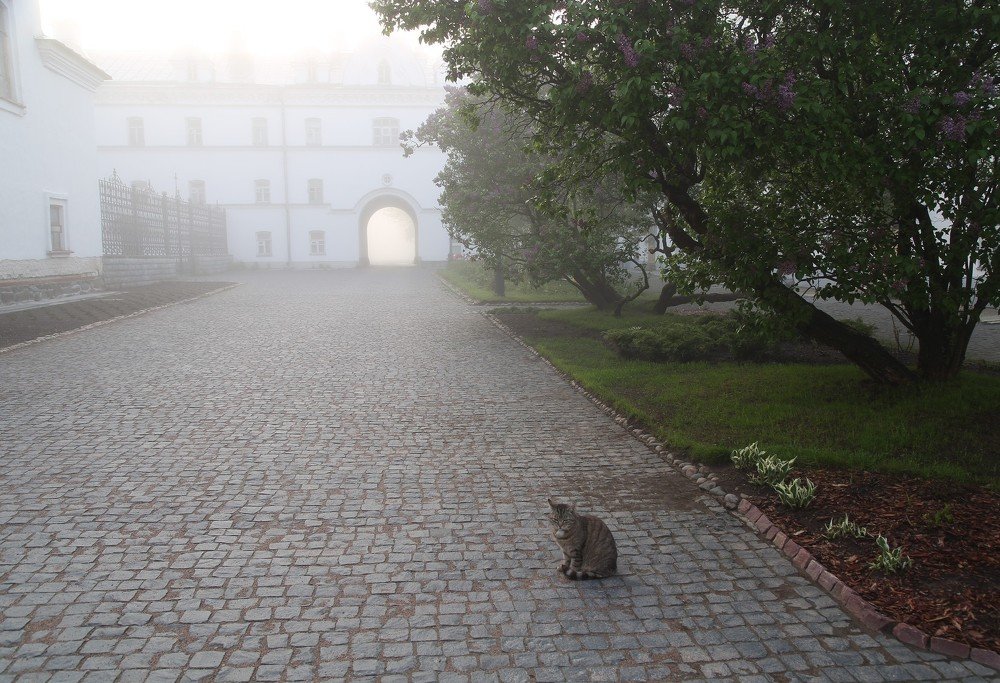Валаам.Спасо-Преображенский мужской монастырь.
