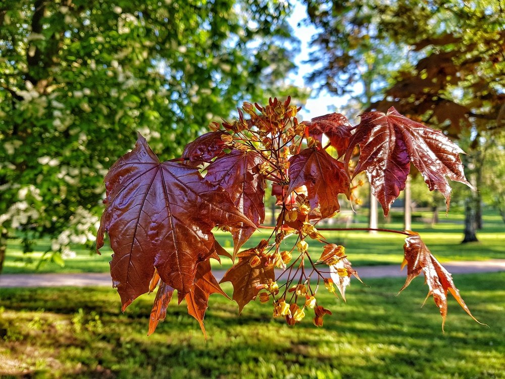 Photograph by Наталья Абилова