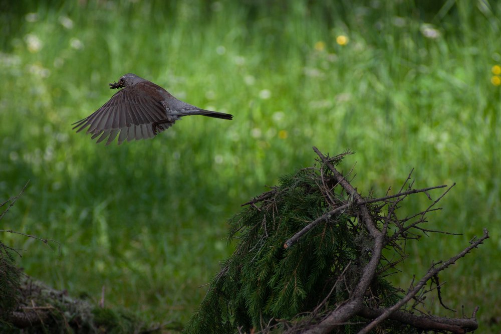 Photograph by Alexey Kaizer