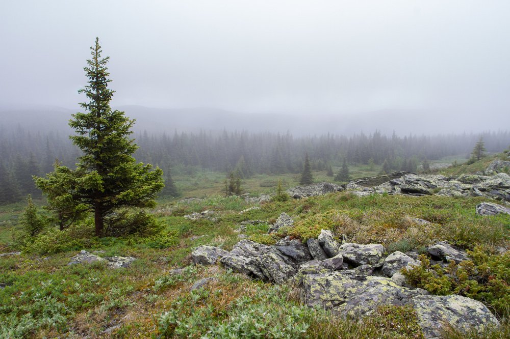 Photograph by Артем