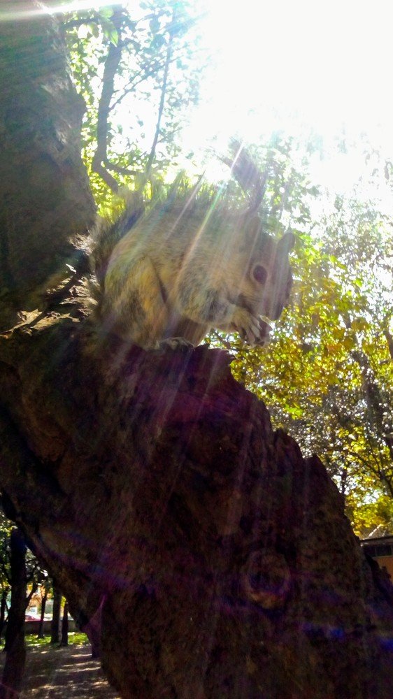 Photograph by Victor Jahaziel Hernández Salazar