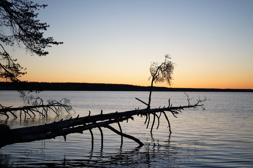 Photograph by Марина Варанкина