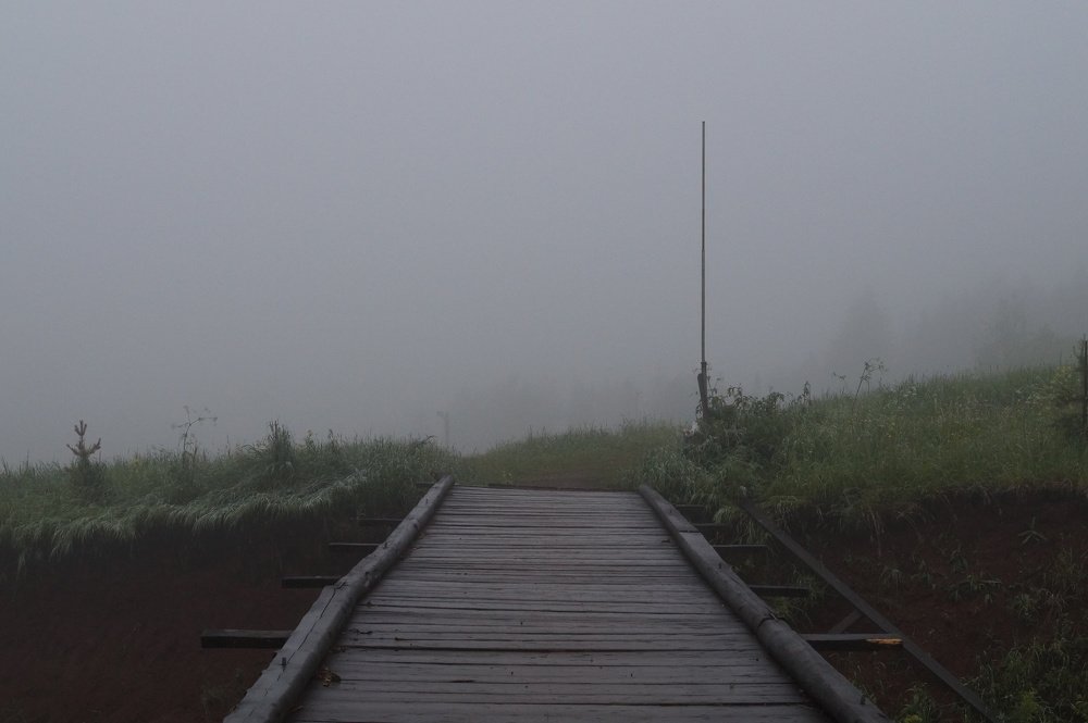 Photograph by Марина Варанкина