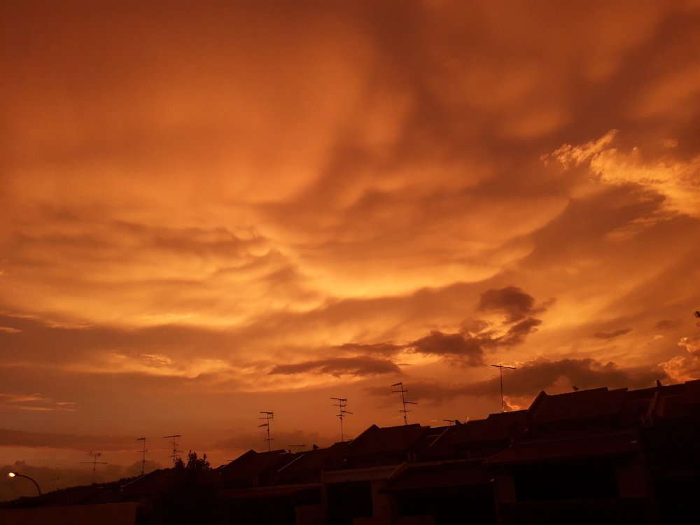 Photo #4697276