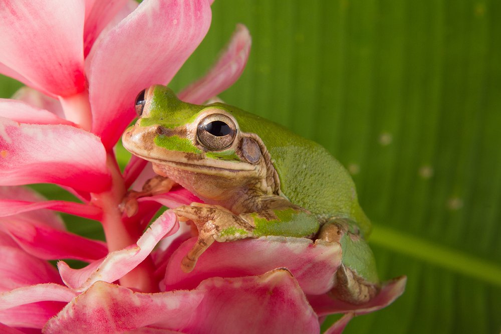 Photograph by Azaria Ruiz Villalobos