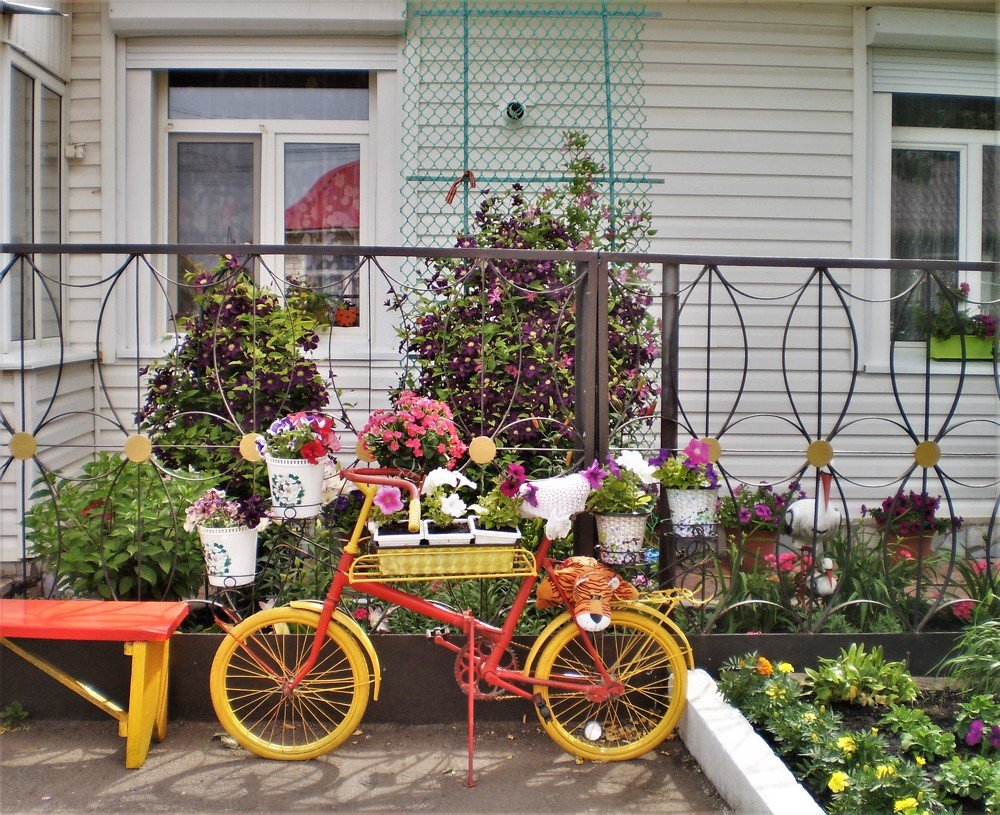 Photograph by венера