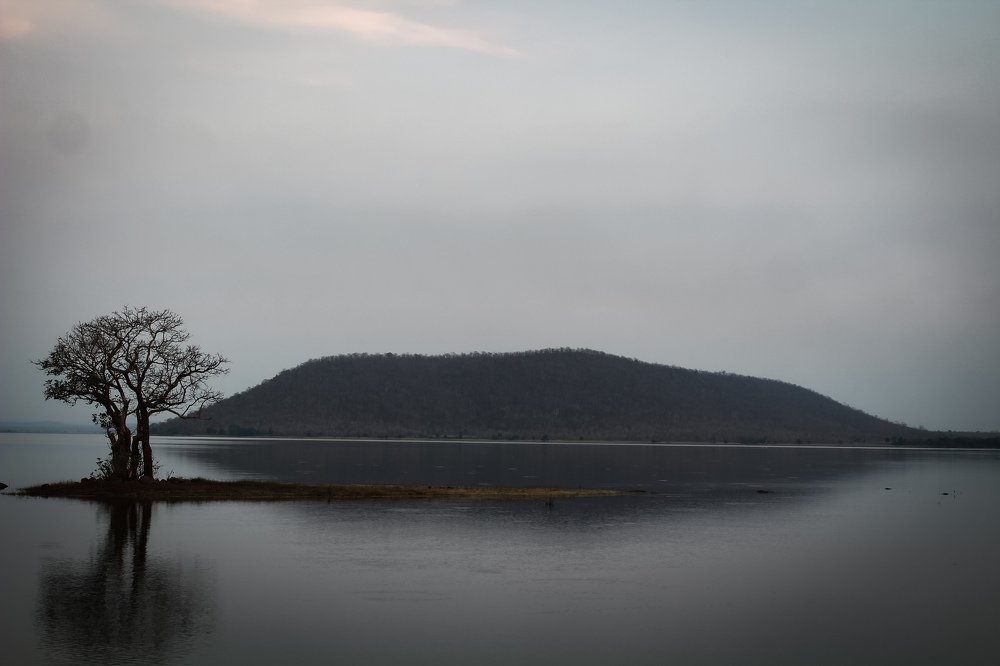 Alone in the deep lake..