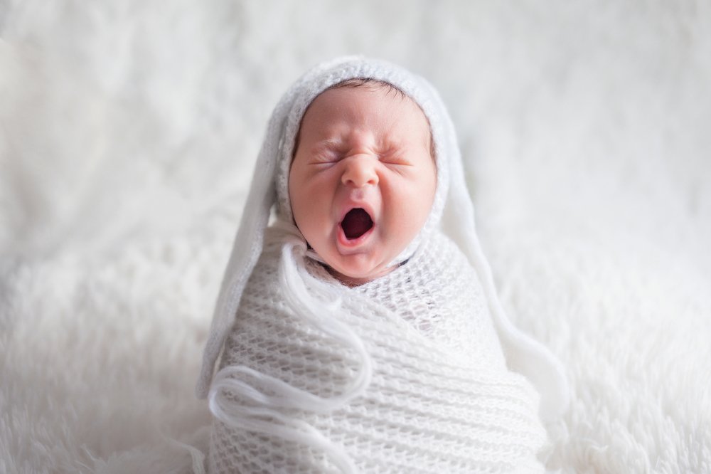 заяшка зевнул