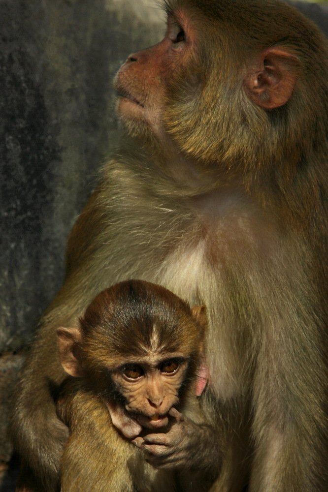 Photograph by Лада Денисова