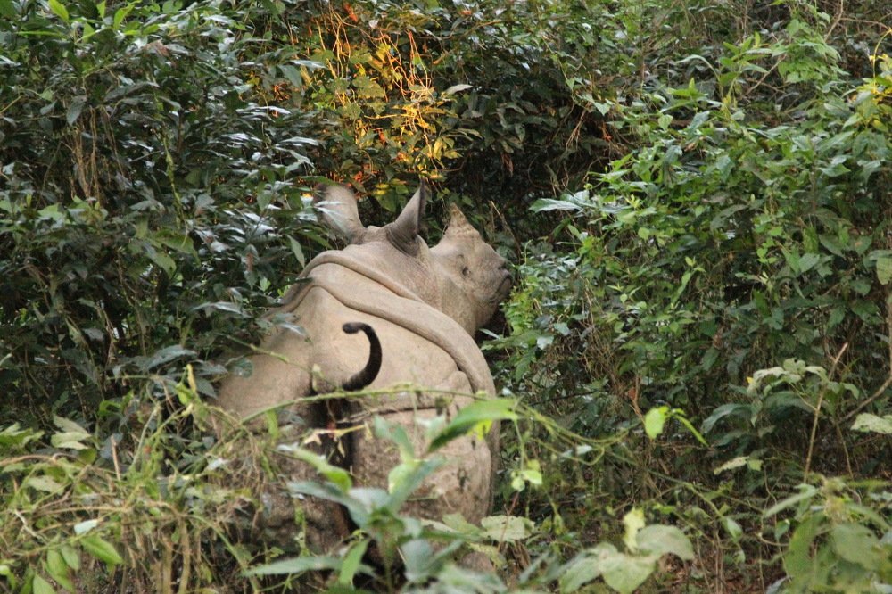 Photograph by Лада Денисова