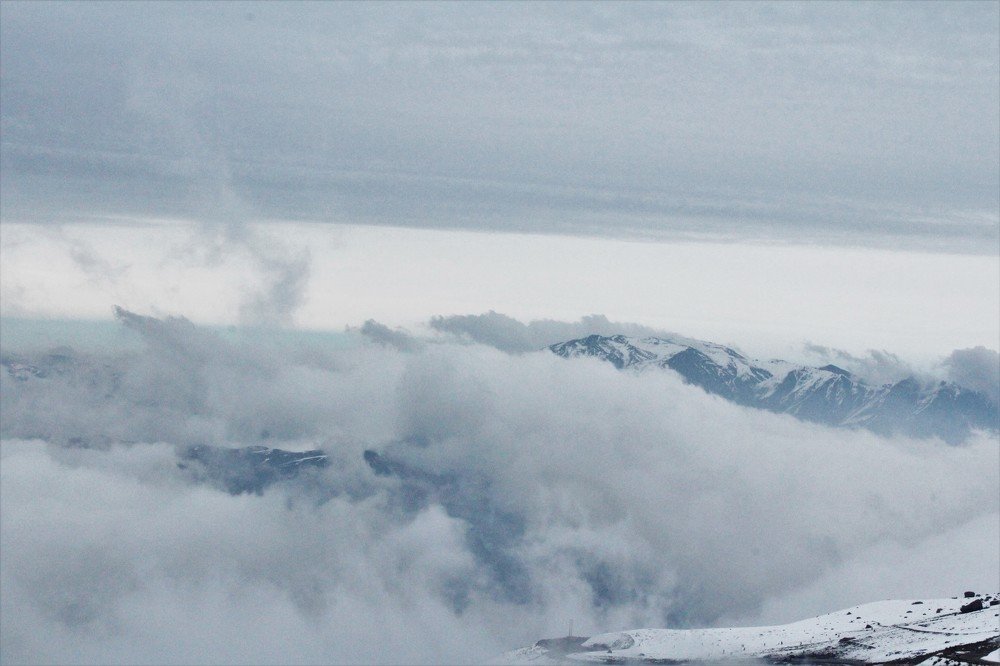 Фотография автора OSMIR ZANETTE