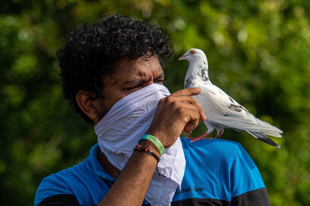 Photograph by Ajayan Kavungal Anat