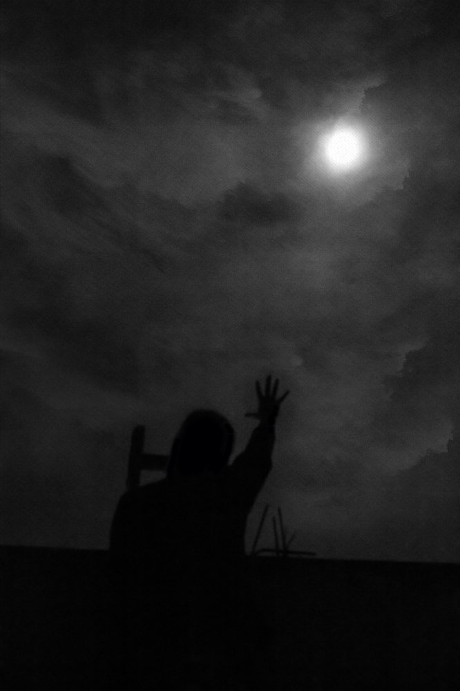 Photograph by Светлана Саиди