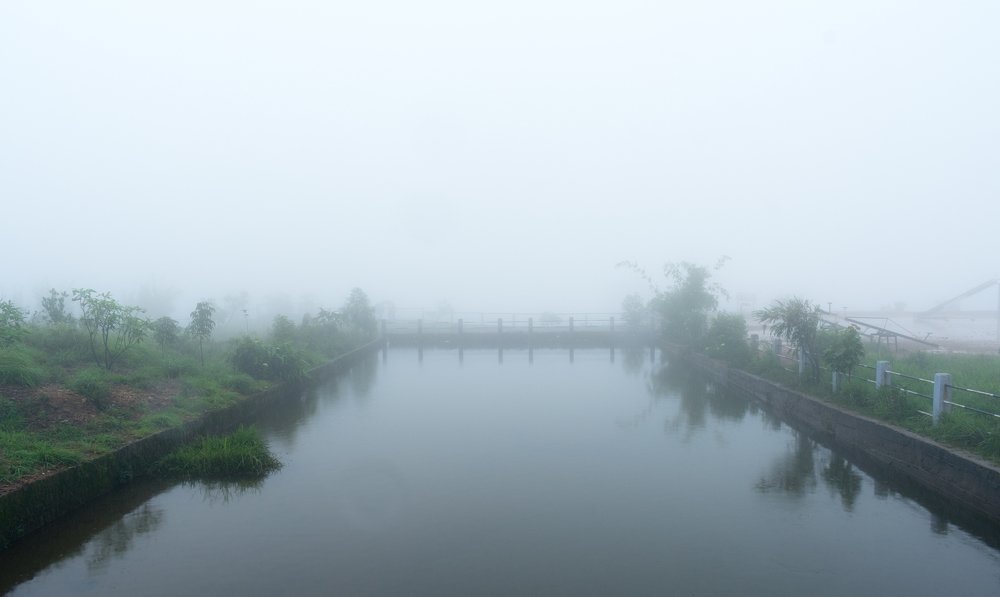 Take a dip in the cold water