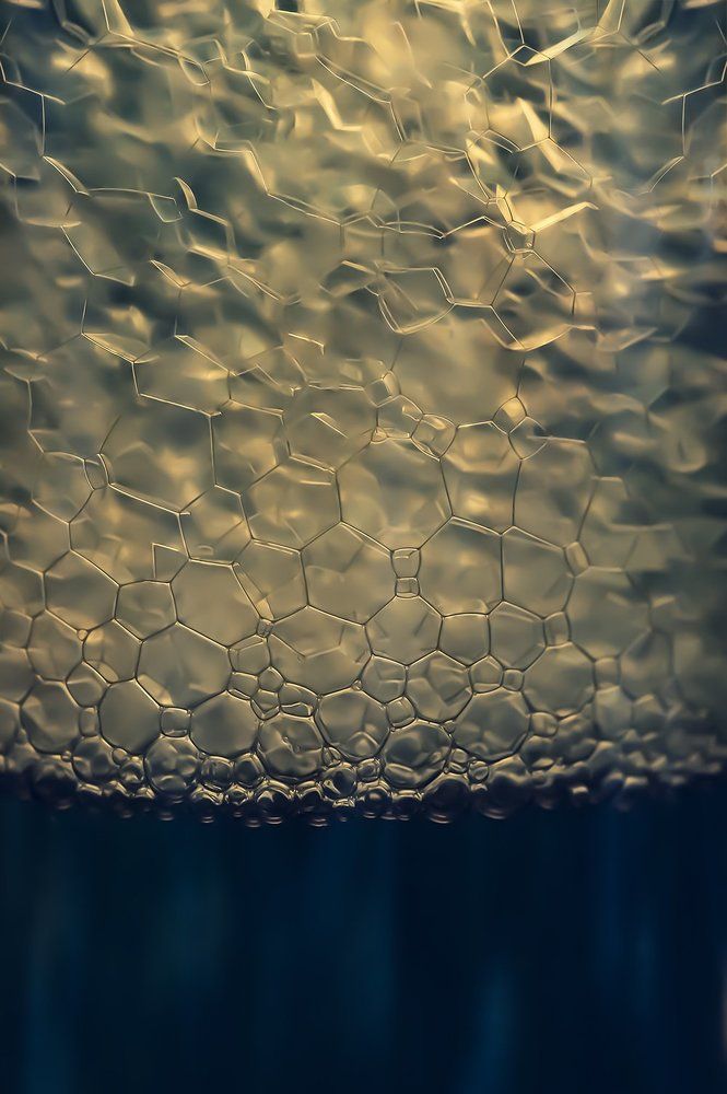 METAMORPHOSIS (250 gr every year) - ZATAC