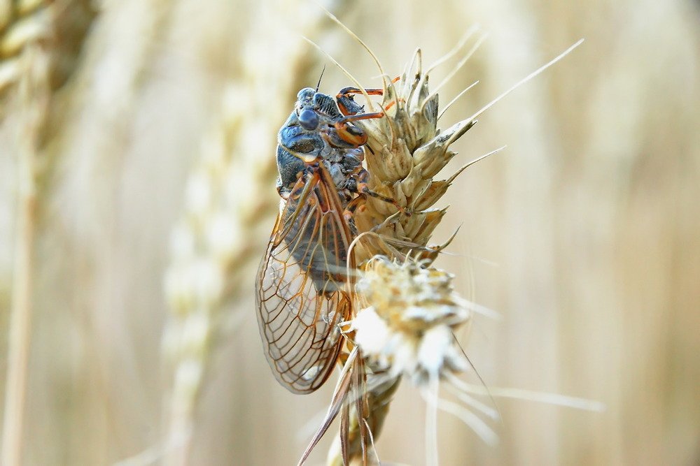 Photograph by Александр