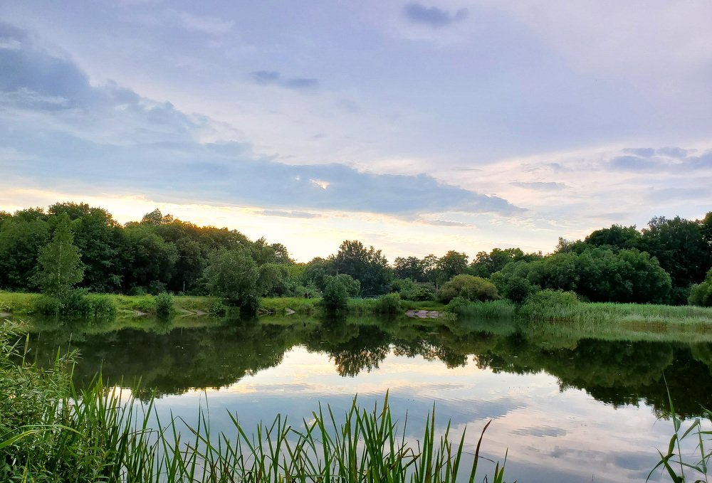 Photograph by Василий Раковец