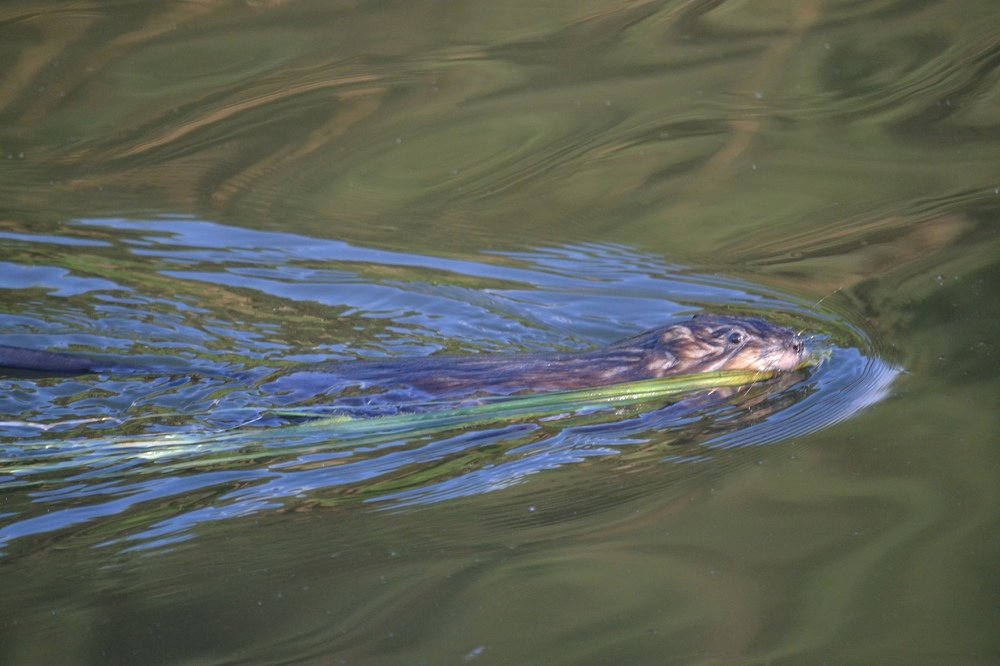 Photograph by Валерия Бердникова