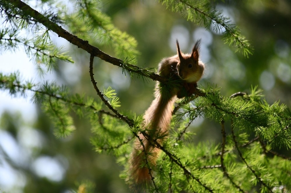Photograph by Валерия Бердникова