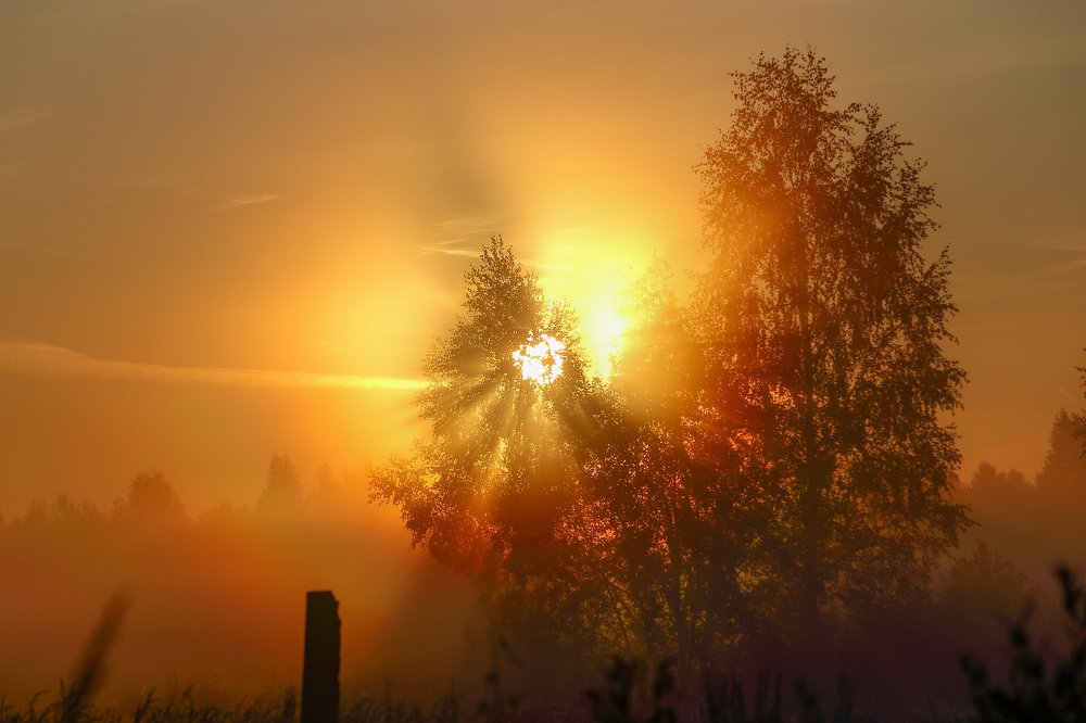 Photograph by Sergey Uskov