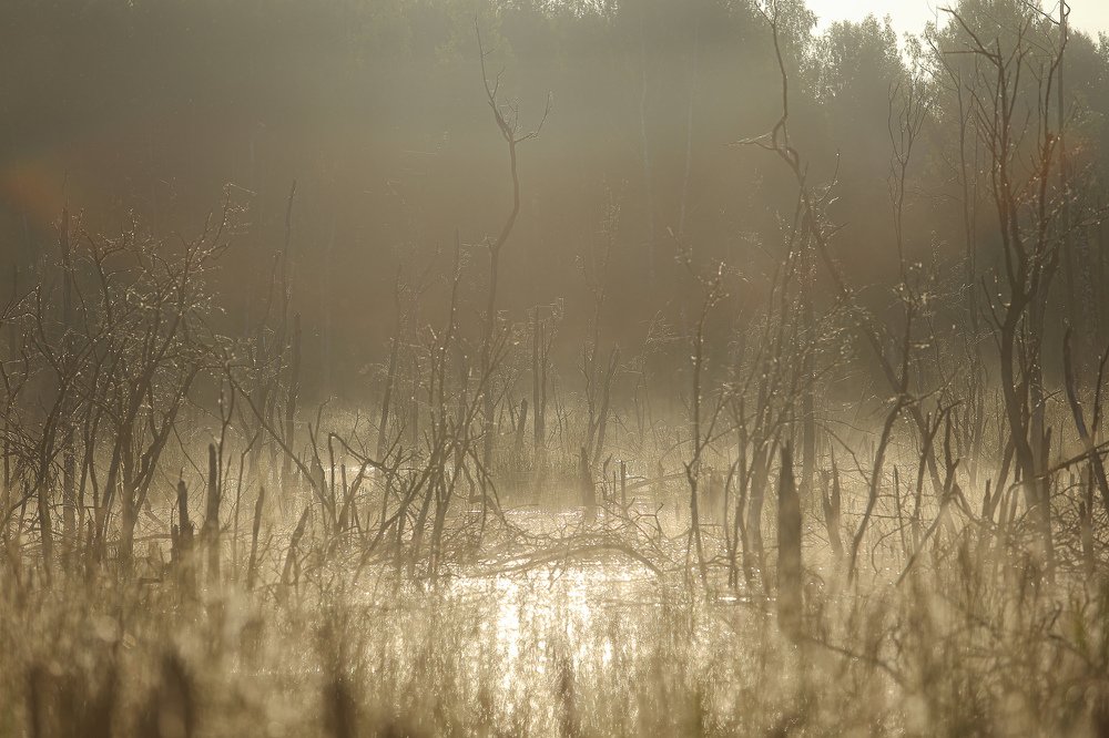 Photograph by Sergey Uskov